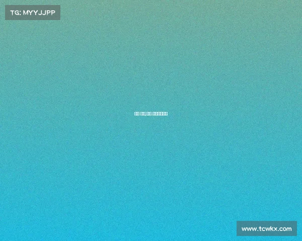 上海 赛事,上海 赛事导演工资