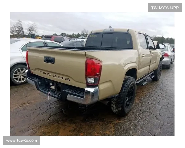 cab赛事 cab赛事直播