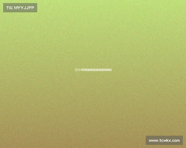 2024全国武术棍术精英锦标赛巅峰对决荣耀绽放