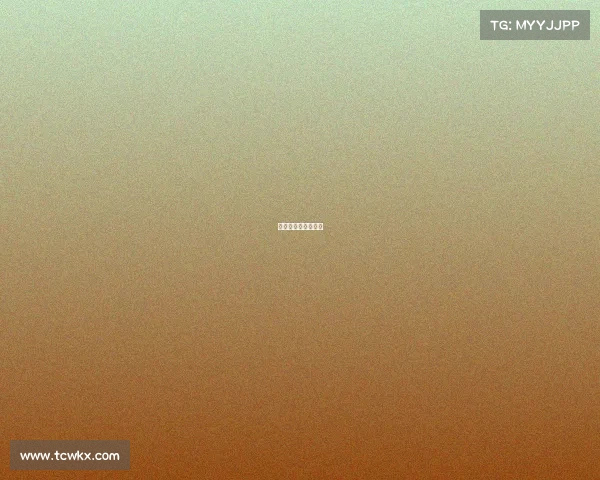 散打国际赛事有哪些