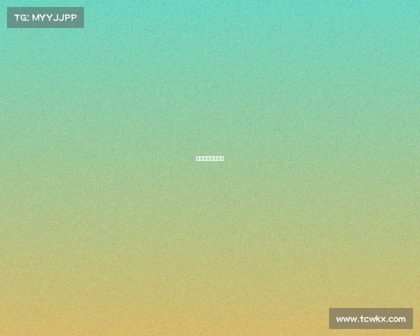 赛事服务包括什么